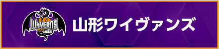 山形ワイヴァンズ