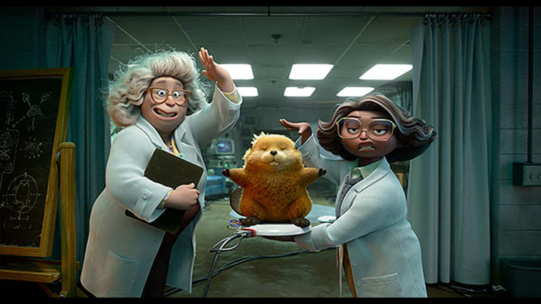 私がビーバーになる時