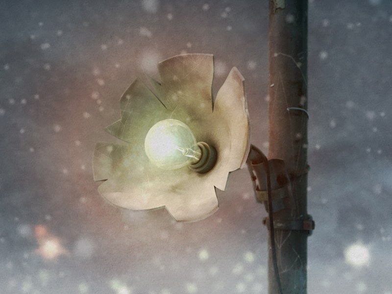 灯花