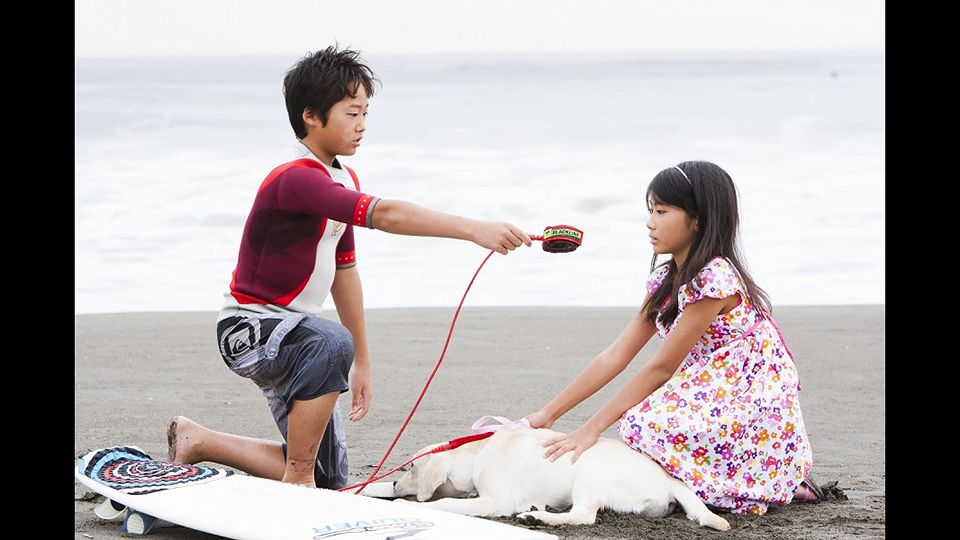 Leash
