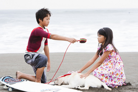 Leash