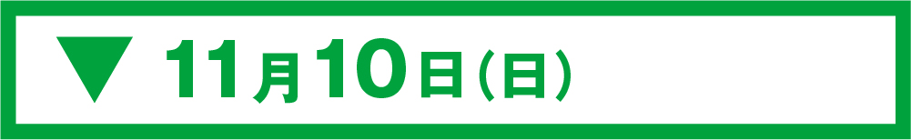 11月10日(日)